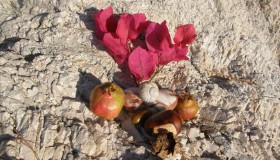 rituál léčení ženského dědictví rodu Skopelos úplněk říjen 2010